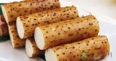 胃溃疡大出血需要做手术吗 胃溃疡大出血需要做手术吗