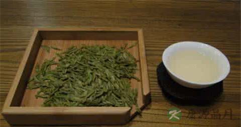 喝白茶对胃好吗 喝白茶对胃好吗