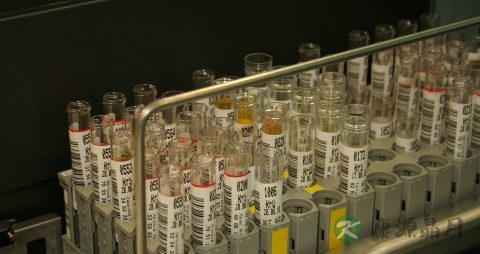 鼻中隔偏曲手术费用