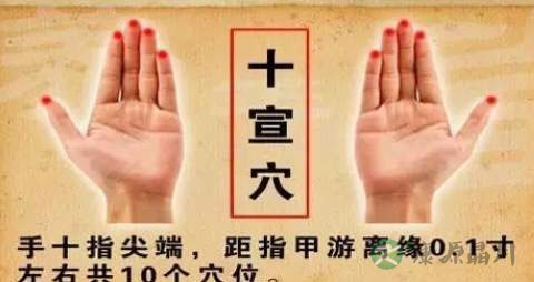 发烧能不能吃冰糖 发烧能不能吃冰糖