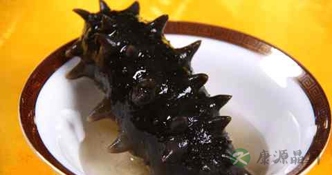 海参牛奶能一起吃吗 海参牛奶能一起吃吗