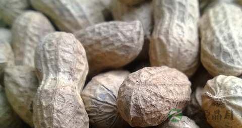 玉米花生能一起吃吗 玉米花生能一起吃吗