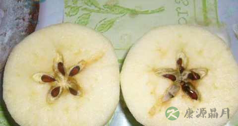 苹果核可以吃吗 苹果核可以吃吗