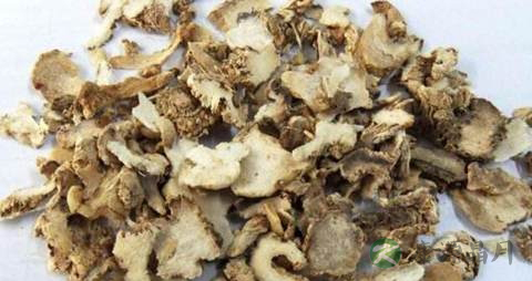 有止血作用的食物 有止血作用的食物