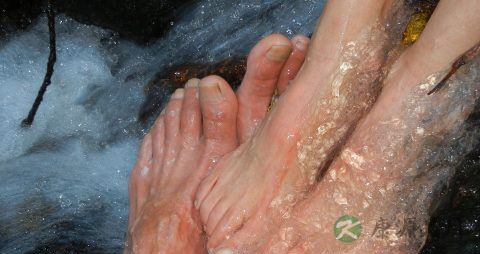 脚趾甲掉了怎么办 脚趾甲掉了怎么办