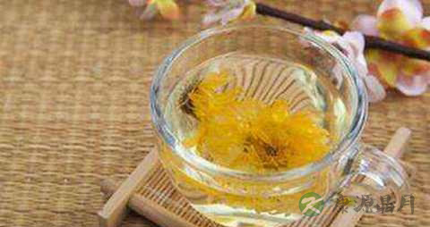 准备怀孕能喝菊花茶吗 准备怀孕能喝菊花茶吗