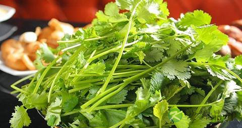 感冒能吃鸡蛋吗?发烧患者不宜食用 感冒能吃鸡蛋吗?发烧患者不宜食用