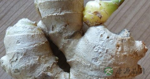 感冒清热的食疗方法