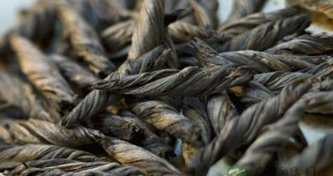 风热感冒能喝乌龙茶吗 风热感冒能喝乌龙茶吗