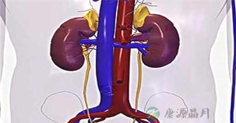 肾轻微积水怎么办 肾轻微积水怎么办