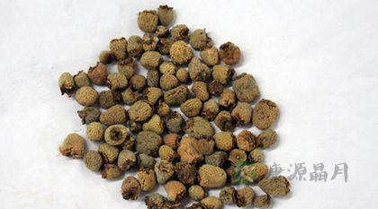 补肾壮阳的15种中药 补肾壮阳的15种中药
