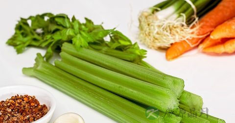 肾虚的食疗方法 肾虚的食疗方法