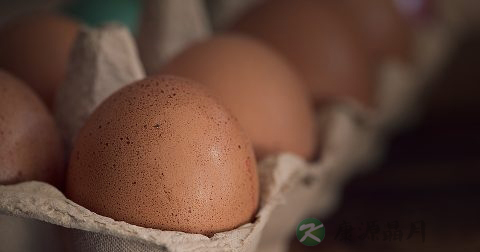 慢性肾小球肾炎注意什么 慢性肾小球肾炎注意什么