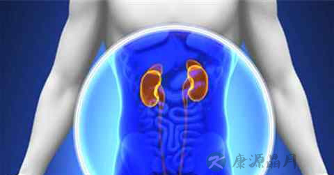 保健品能调理肾病吗 保健品能调理肾病吗