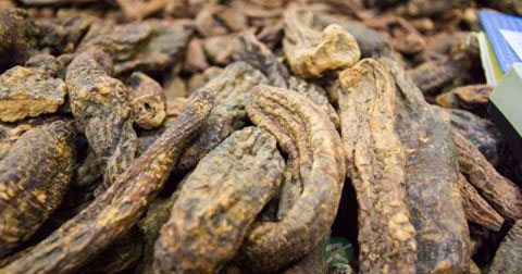 可以泡茶的补肾药材 可以泡茶的补肾药材