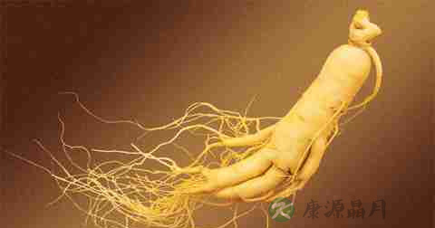 肾囊肿怎么调养 肾囊肿怎么调养