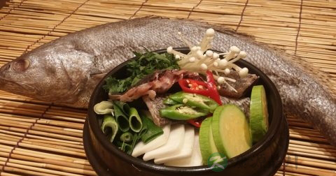 痛风会影响肾功能吗 痛风会影响肾功能吗
