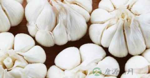 肾腺瘤是什么病 肾腺瘤是什么病