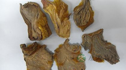 补肾壮阳的15种中药 补肾壮阳的15种中药