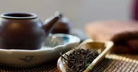 喝茶对肾有伤害吗 喝茶对肾有伤害吗