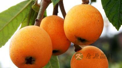 肺热吃什么好 17种食物清肺热 肺热吃什么好 17种食物清肺热