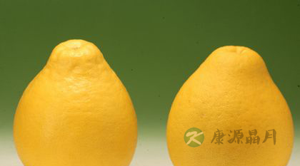 肺热吃什么水果好 肺热吃什么水果好