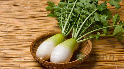 肺结核吃什么蔬菜好 肺结核吃什么蔬菜好