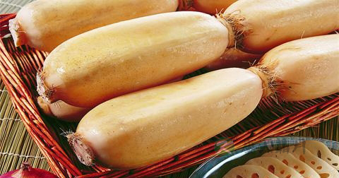 肺结核什么药可以治疗 肺结核什么药可以治疗