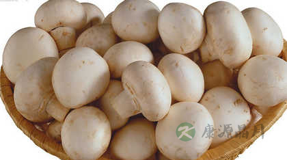 什么食物对肝好 什么食物对肝好