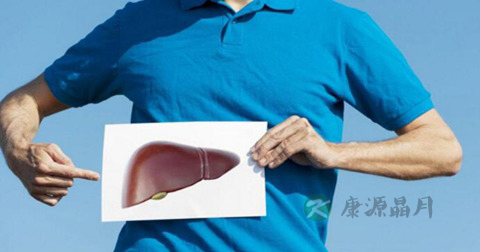 肝脏最主要的功能 肝脏最主要的功能