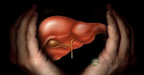 肝脏最主要的功能 肝脏最主要的功能