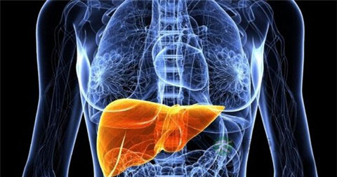 中重度脂肪肝的饮食 中重度脂肪肝的饮食