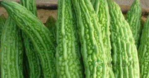蜂蜜护肝还美容 14个夏季养肝美食 蜂蜜护肝还美容 14个夏季养肝美食