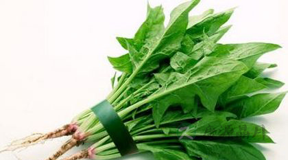 10种护肝的平民食物 10种护肝的平民食物
