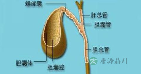 胆息肉病变治疗方法 胆息肉病变治疗方法