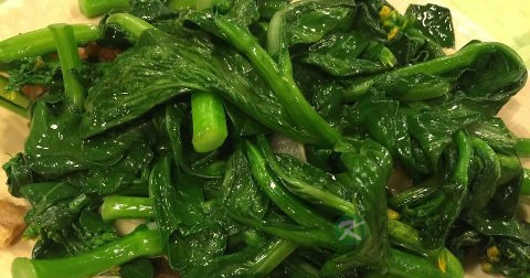 胆的生理功能 胆的生理功能