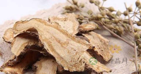 治疗神经损伤的中药 治疗神经损伤的中药