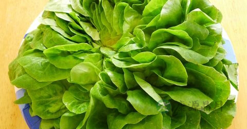 焦虑障碍的诊断和治疗 焦虑障碍的诊断和治疗
