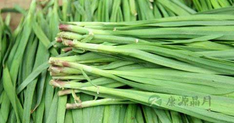 肠道不好吃什么食物好 肠道不好吃什么食物好