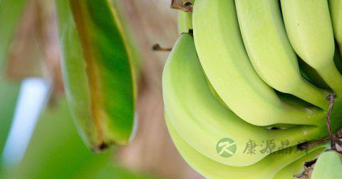 胃肠道疾病的治疗 胃肠道疾病的治疗