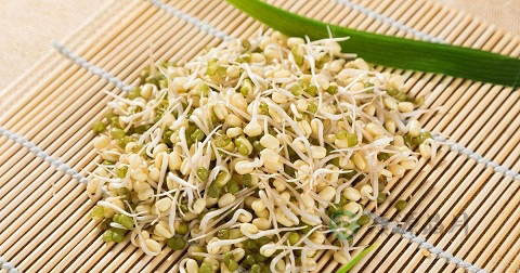 肠道热吃什么 肠道热吃什么