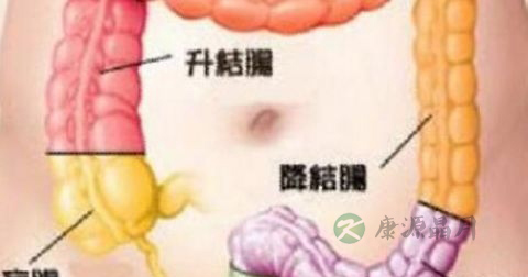 直肠癌能吃海带吗 直肠癌能吃海带吗