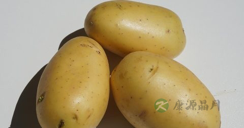 直肠糜烂是怎么引起的 直肠糜烂是怎么引起的