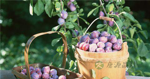 治疗便秘的11个食疗偏方 治疗便秘的11个食疗偏方