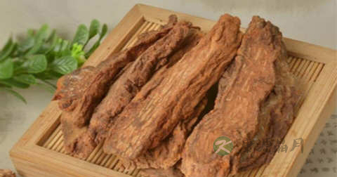 沙漠肉苁蓉怎样储存 沙漠肉苁蓉怎样储存