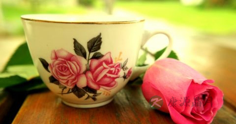 怎样制作鲜玫瑰花茶 怎样制作鲜玫瑰花茶