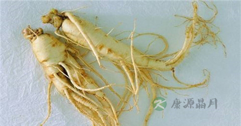 人参和海马可以一起泡酒吗 人参和海马可以一起泡酒吗