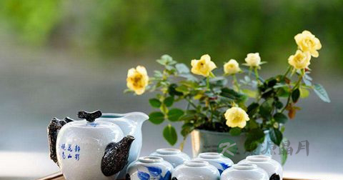 喝茶的礼仪讲究 喝茶的礼仪讲究