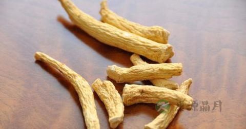 西洋参能护胃吗 西洋参能护胃吗