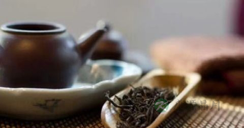 长期喝茶伤肾吗